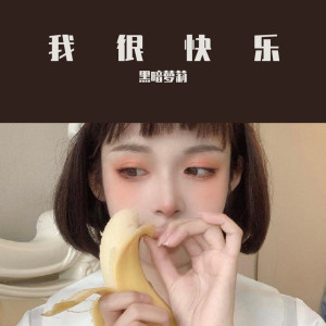 Listen to 爱河（DJ版） song with lyrics from 黑暗萝莉