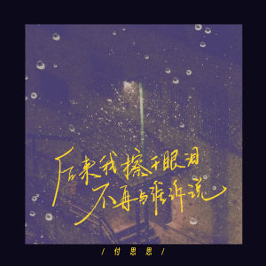Listen to 后来我擦干眼泪不再与谁诉说 song with lyrics from 付思思