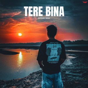 Listen to Tere Bina song with lyrics from Sonam Negi