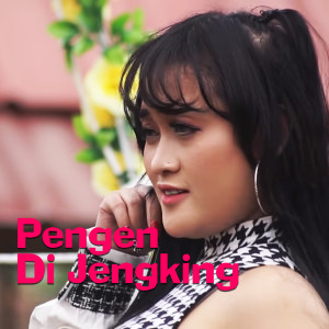 ดาวน์โหลดและฟังเพลง Pengen Di Jengking (Remix) พร้อมเนื้อเพลงจาก DJ Suhadi Remix
