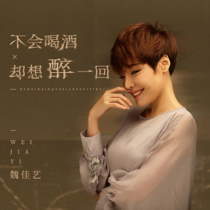 收听魏佳艺的不会喝酒却想醉一回歌词歌曲
