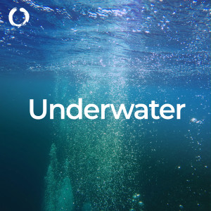 อัลบัม Underwater Sounds and Music ศิลปิน Underwater Sleep Orchestra