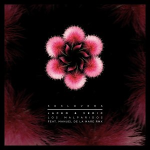 ดาวน์โหลดและฟังเพลง Munecas (Manuel De La Mare Remix) พร้อมเนื้อเพลงจาก Jaceo