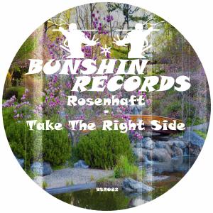Dengarkan lagu Take The Right Side nyanyian Rosenhaft dengan lirik