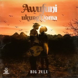 Big Zulu的专辑Awufuni Ukung’Qoma