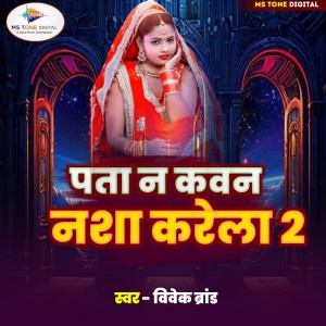 Album Pata Na Kawan Nasha Karela 2 from Vivek Brand