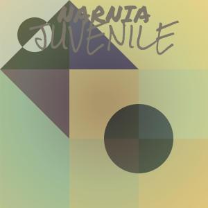 Various的专辑Narnia Juvenile