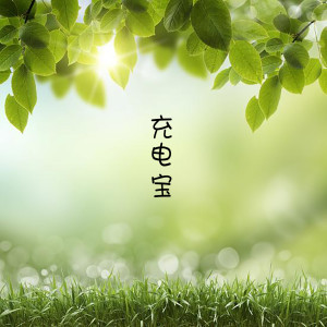 Listen to 没有你的旅行 song with lyrics from 充电宝