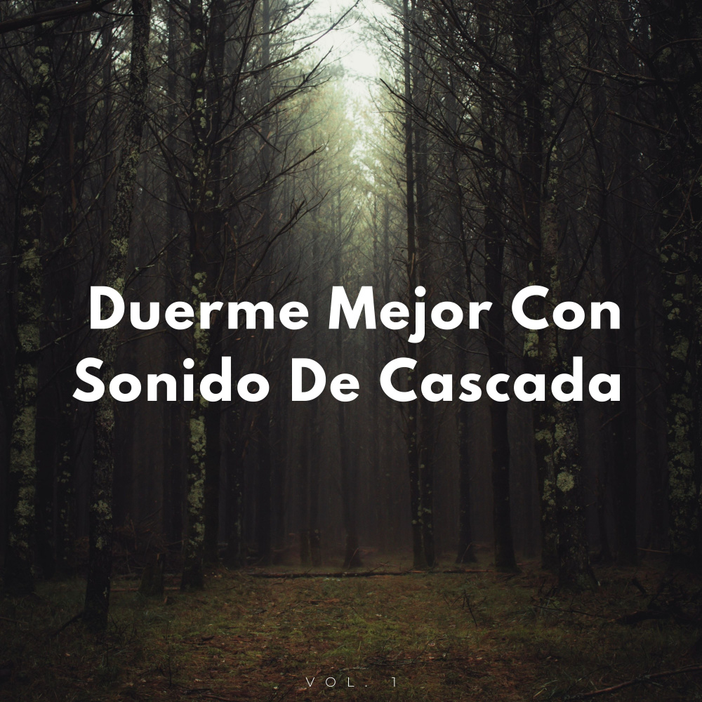 Caída Fluida