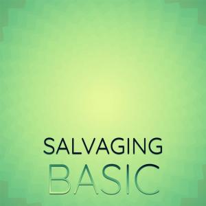 Listen to Salvaging Basic song with lyrics from Aldith Sarad