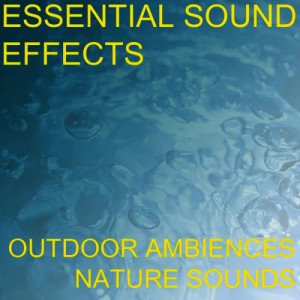 收聽Essential Sound Effects的Water Fountain Water City Garden Park Sound Effects Sound Effect Sounds EFX Sfx FX Natural Ambience Sounds Ambience Nature歌詞歌曲
