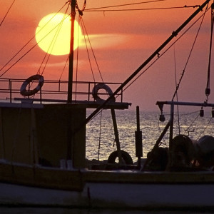 吴琴儿的专辑两颗心四行泪 (清新Remix版)