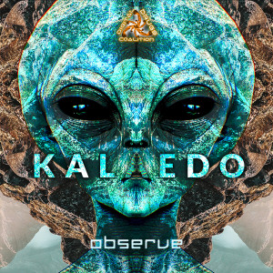 Kalaedo的專輯Observe