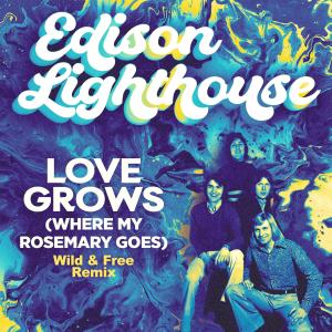อัลบัม Love Grows (Where My Rosemary Goes) (Wild & Free Remix) ศิลปิน Edison Lighthouse