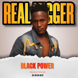 Black Power的專輯Real Nigger (Explicit)