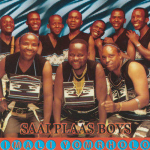 收聽Saai Plaas Boys的Bobobo Nombongwe歌詞歌曲