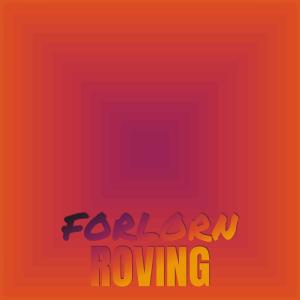 Various Artists的專輯Forlorn Roving