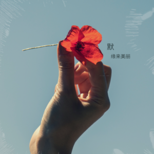 收聽緣來美麗的默 (cover: 那英) (完整版)歌詞歌曲