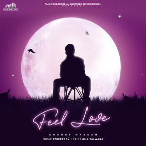 Listen to Feel Love song with lyrics from sharry hassan
