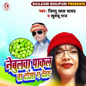 Listen to Nebulava Paakal Baa Toa Ye Devaroo song with lyrics from Khushboo Raj