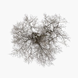 收聽John Metcalfe的Stasis歌詞歌曲