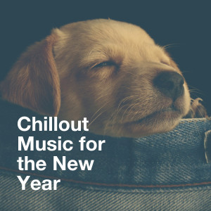 อัลบัม Chillout Music for the New Year ศิลปิน Asian Chillout Music Collective
