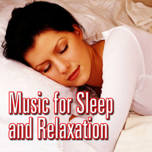 ดาวน์โหลดและฟังเพลง No Worries at All - With Gentle Woodland Bird Songs for Quiet Contemplation and Well Being พร้อมเนื้อเพลงจาก Best Nature Sounds and Relaxing Music