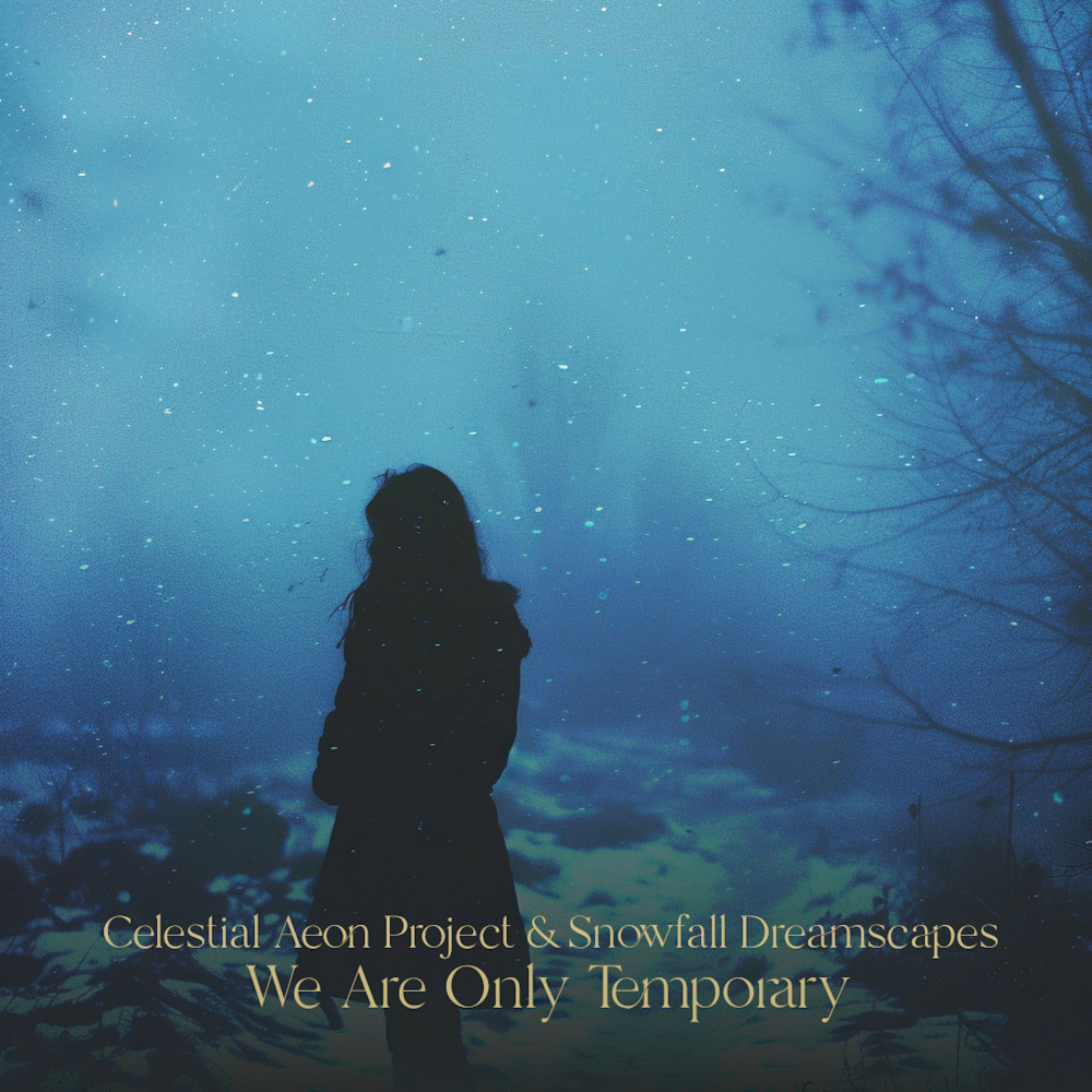 We Are Only Temporary
