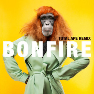 ดาวน์โหลดและฟังเพลง Bonfire (Total Ape Remix) พร้อมเนื้อเพลงจาก Miss Li
