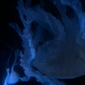 Listen to sleep by my side song with lyrics from Yvng Xan