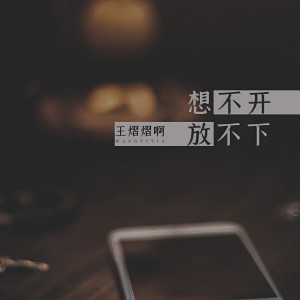 收聽王熠熠啊的想不開放不下歌詞歌曲