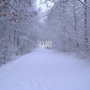 Listen to 追憶 song with lyrics from Shinnosuke