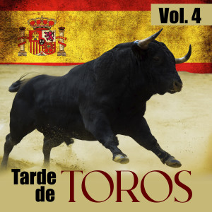 Listen to Suspiros Mexicanos song with lyrics from Mariachi Mexico