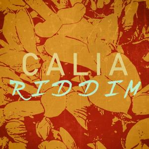Listen to Calia Riddim song with lyrics from Sneed