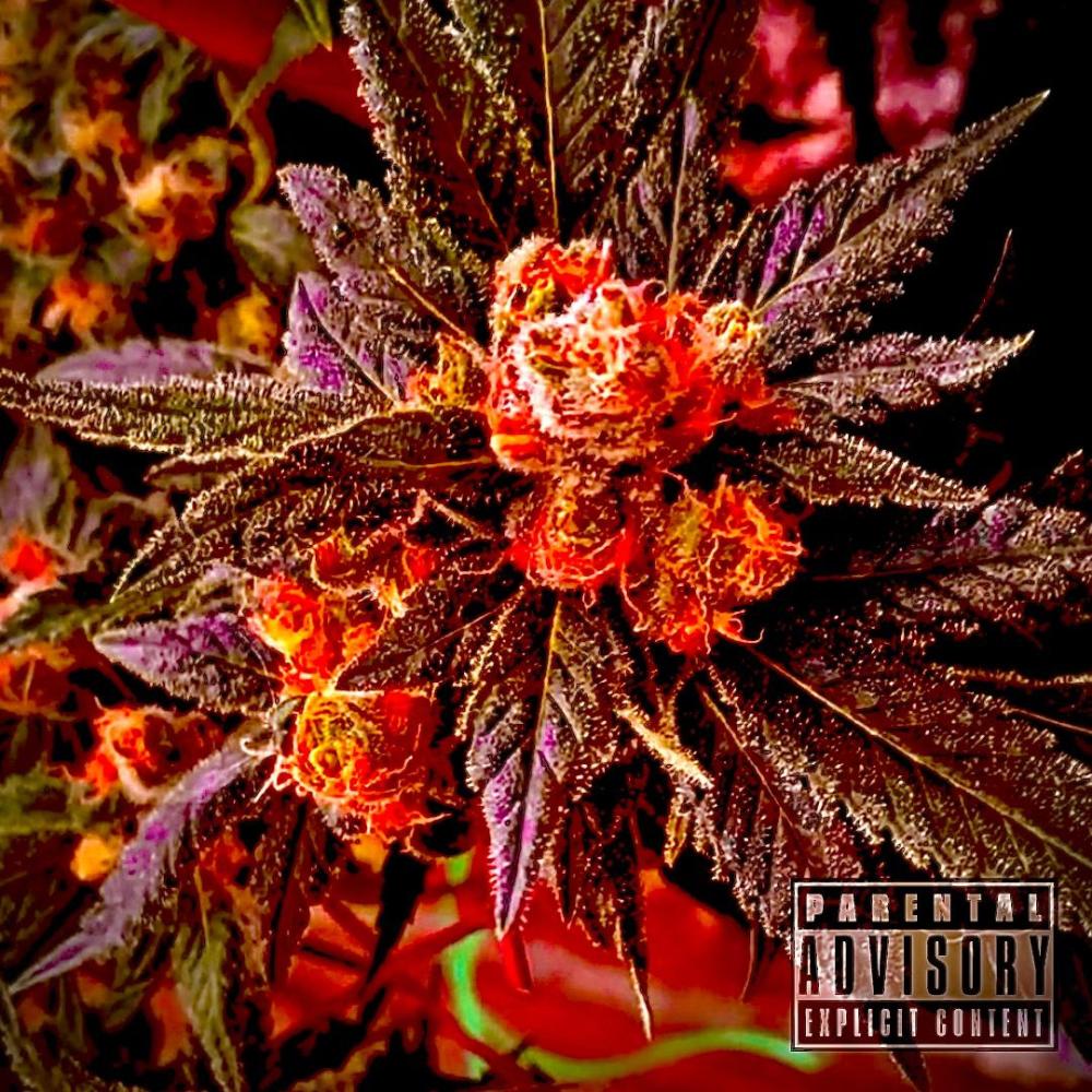 Dumile (Explicit)