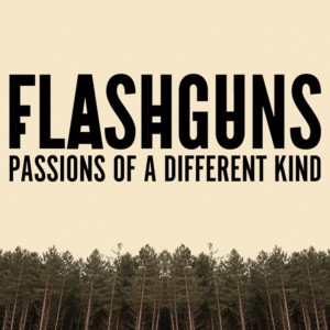 ดาวน์โหลดและฟังเพลง Good Breeding พร้อมเนื้อเพลงจาก Flashguns