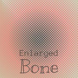 Various Artists的專輯Enlarged Bone