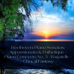Album Beethoven: Piano Sonatas: Appassionata & Pathetique - Piano Concerto No. 3 - Bagatelle - Choral Fantasy from Hermann Abendroth