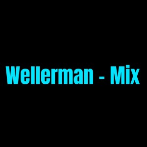 Listen to Wellerman - Mix song with lyrics from dj Tik Toker