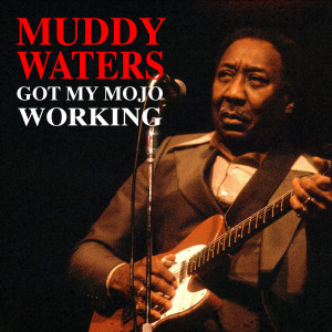 Dengarkan Crossed Eye Cat lagu dari Muddy Waters dengan lirik