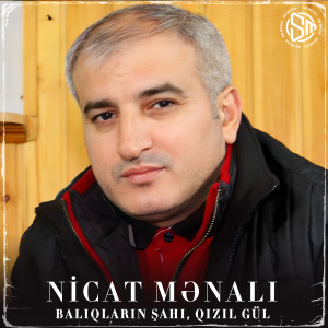 Album Balıqların Şahı / Qızıl Gül from Nicat Mənalı