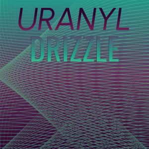 Various Artists的專輯Uranyl Drizzle