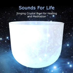 ดาวน์โหลดและฟังเพลง Crystal Bowl Short Spaced Hits พร้อมเนื้อเพลงจาก Sounds for Life