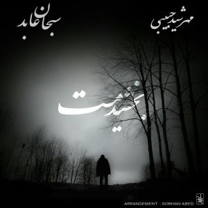 Listen to Bakhshidamet(feat. Sobhan Abed) song with lyrics from Mehrshid Habibi