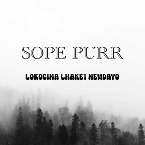 Listen to Sope Purr song with lyrics from Lokocina