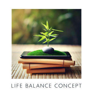 Life Balance Concept (Balancing Mind, Soul and Spirit, Mental Meditation Music)