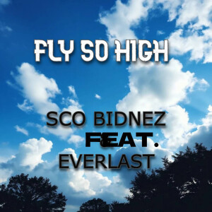 Listen to Fly so High (Explicit) song with lyrics from Sco Bidnez