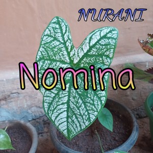 收听Nurani的Tentang Kita歌词歌曲