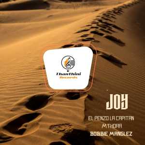 Album Joy oleh El Penzo LaCapitan