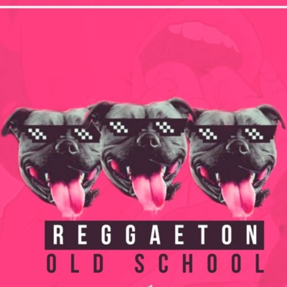 Mix Reggaeton Old School